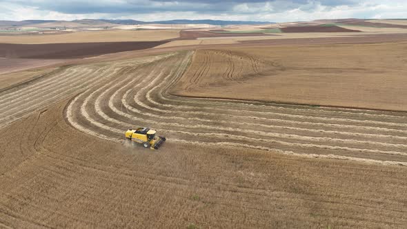 Wheat Harvesting Aerial