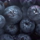 Macro Rotating Blueberries In Water - VideoHive Item for Sale