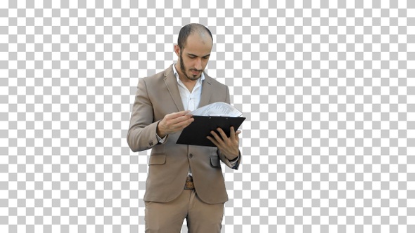 Concentrated businessman reading financial report, Alpha Channel