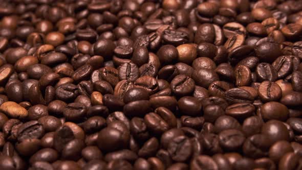 Fresh roasted coffee beans close up rotating