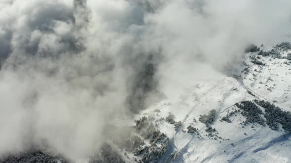 Aerial View of a Forest Covered with Fresh Snow and Clouds in the Aletsch Arena Area. Switzerland