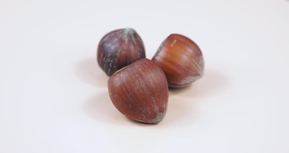 spinning hazelnuts with the shell close-up background alt