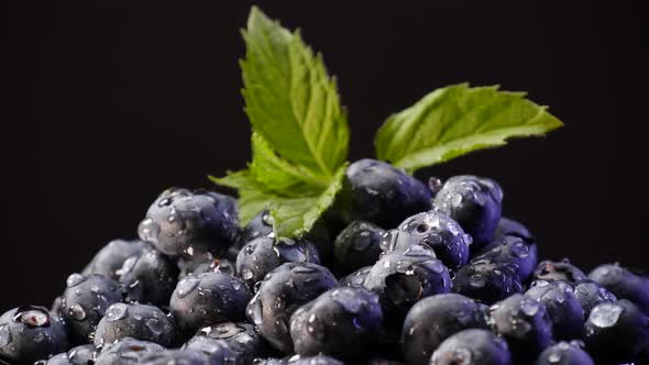 Blueberries with leaf of mint, sprinkle with drops of water 4K view