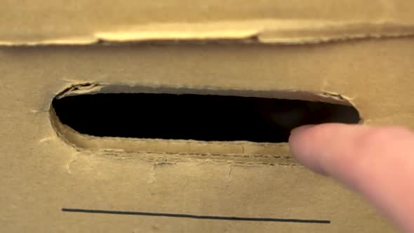 British Cat Sits in a Cardboard Box and Sticks Out a Paw. A Woman Is Playing with a Cat. Slow Motion alt