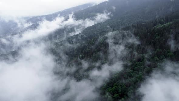 Fog Over the Tops of Coniferous Trees Magical Forest in Rainy Summer Weather Aerial Landscape alt