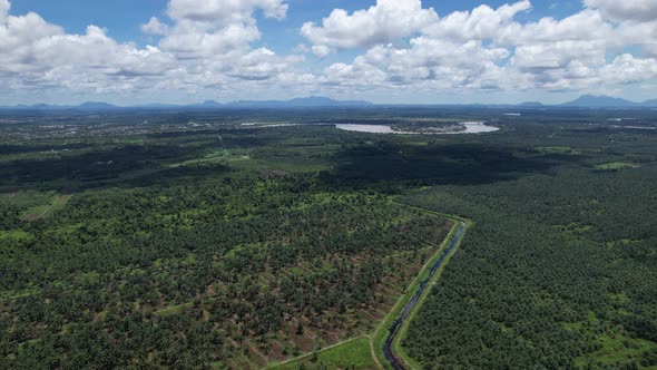 Aerial View of The Palm Oil Estates alt