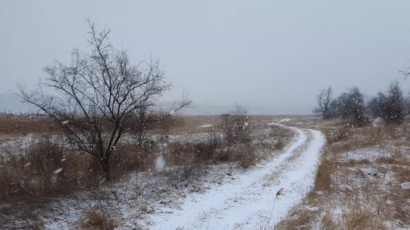 Tranquil environment with heavy snow and blizzard