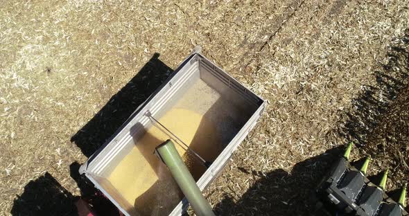 Aerial top down view, combine unloading corn grains into tractor trailer. alt