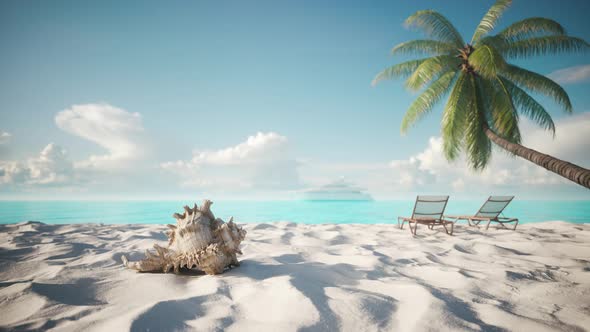Sun Loungers Under Palm Tree alt