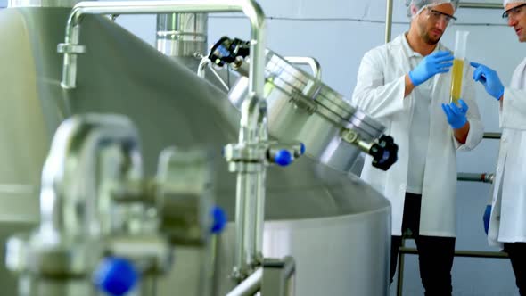 Two brewers discussing with each other at brewery factory 4k alt