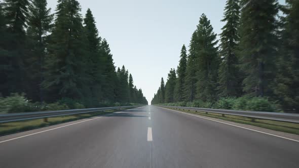 Car driving on the road along the forest alt
