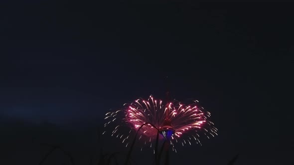 The Red Fireworks in the Sky During the Independence Day in Tallinn Estonia