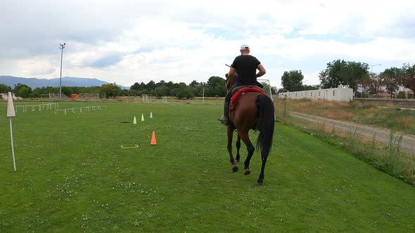 a Man Walks with a Horse in the Field