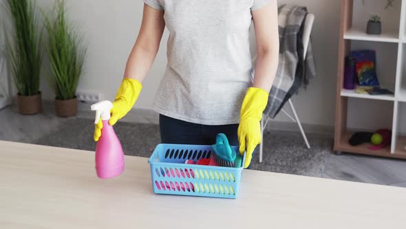 Janitor Woman Cleaning Home Washing Tools alt