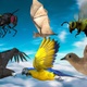 6 Animals Flying Pack - VideoHive Item for Sale