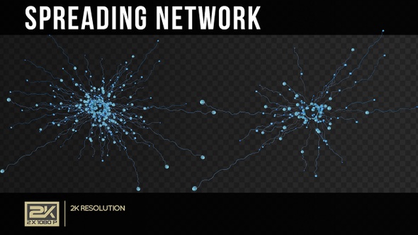 Spreading Network 2