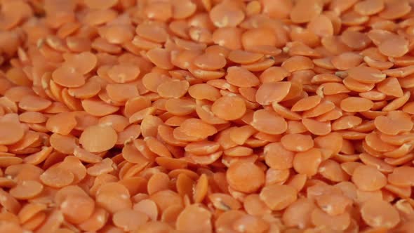 Rotation and Fall of a Red Lentil 