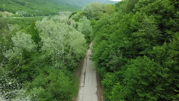 Aerial Top Down  View of White Car Driving on Rural Road in Forest alt