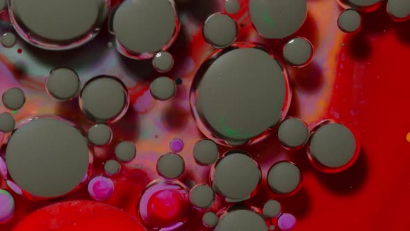 Macro Structure of Multicolored Water Paint Oil Bubbles Movement Bright Colorful Acrylic Painting alt