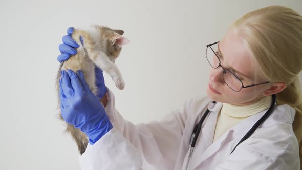 Female Veterinarian Medical Doctor with Cat
