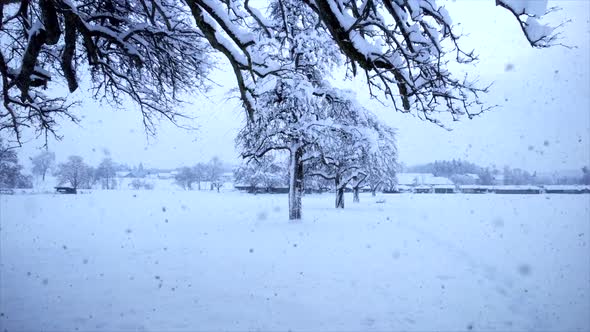 Cold Winter Snow Landscape Scenery alt
