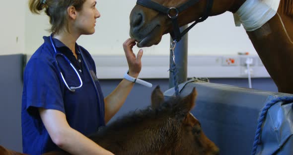Surgeon petting horse and foal in hospital 