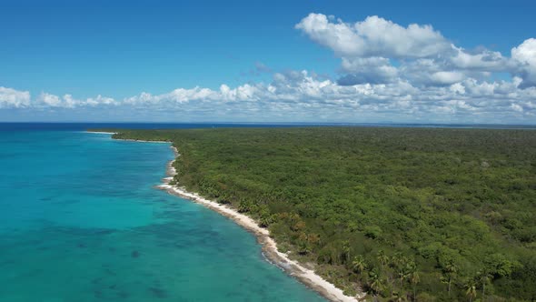 Caribbean Island 68 alt