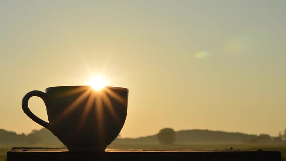 sun light on coffee cup in morning time