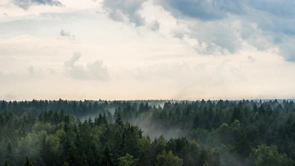 Evaporation Of Moisture From The Forest After The Rain Time Lapse