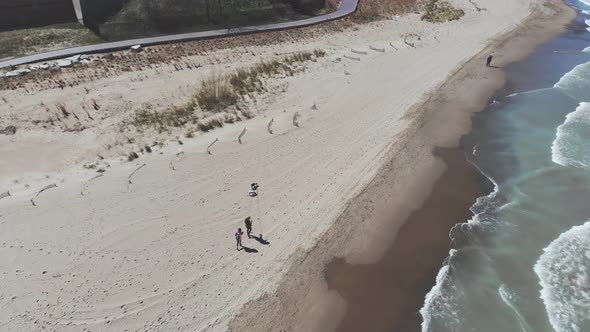 Aerial View People Walking Dogs on the Shores of Lake Michigan in Illinois. People Walking Dogs on a alt