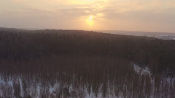 Forest at Sunset During Snowfall