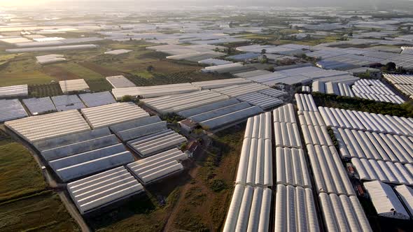 Aerial View of Greenhouse Fields alt