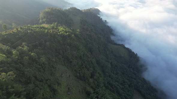 Aerial landscape view of greenery mountains and the sea of fog by drone