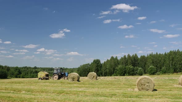 Harvesting feed for farm animals