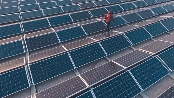 Man walks on the modern solar farm alt