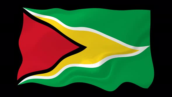 Guyana Flag Wave Motion Black Background