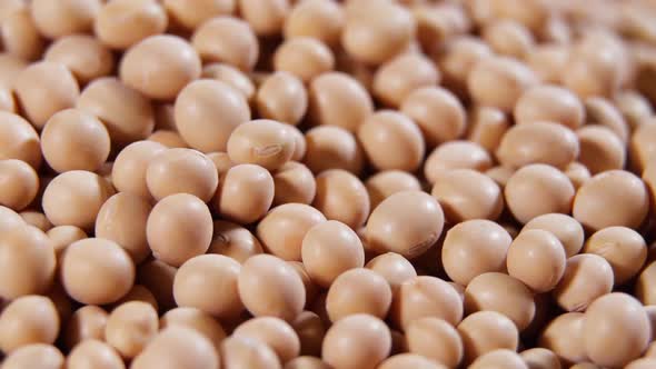 Raw Soy Bean Top View Texture High in Fiber Supplementary Food Protein Healthy Food Soybeans Organic alt