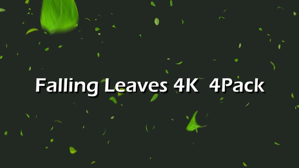 Falling Leaves 4K 4 Pack