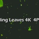 Falling Leaves 4K 4 Pack - VideoHive Item for Sale