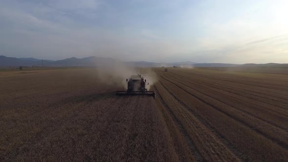 Agriculture landscape with combine  in dust clouds alt