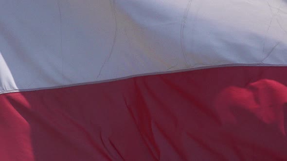 700950 Polish Flag Waving in the Wind, Slow Motion alt