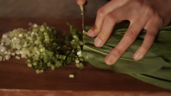 Hands cutting green lettuce leaves wild garlic on wooden сhopping board, cooking vegan healthy food