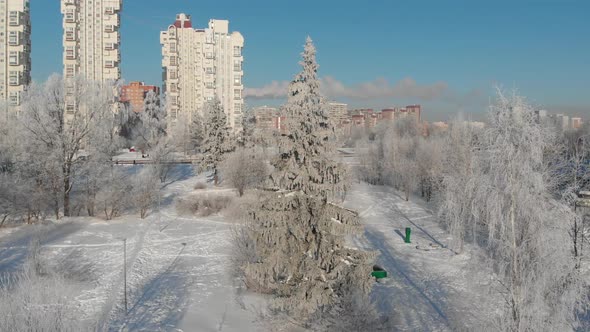 View of Snow-covered City Park on Sunny Day. Moscow, Russia