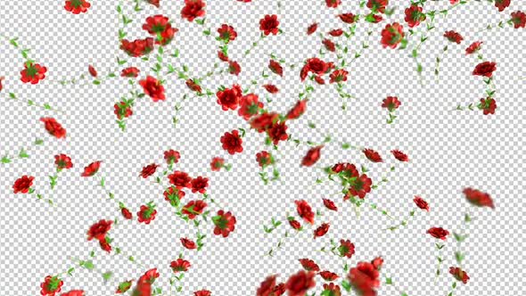 Rain of Red Rose Flowers alt