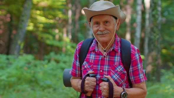 Senior Old Caucasian Tourist Hiker Grandfather Training Nordic Walking with Trekking Poles in Forest alt