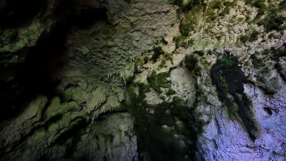 A look into a mossy cave with interesting stone formations on the ceiling and walls. alt