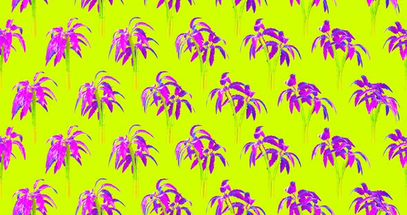 Minimal motion 3d art. Seamless animation pattern palm trees