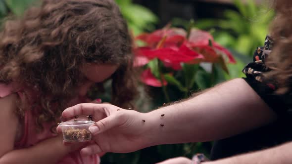 Ladybugs crawling on arm as young girl smiles alt