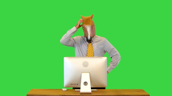 Thoughtful Man in Horse Mask Look at Computer Concerned Rubbing Head Sit at Work Typing on Keyboard