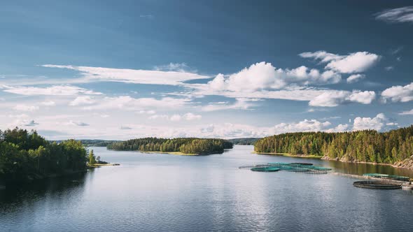 Fisheries Fish Farm In Summer Lake Or River In Beautiful Summer Sunny Day alt